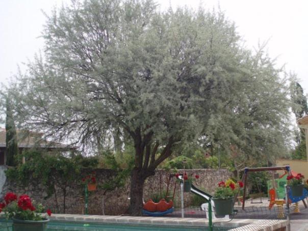 Arcas De Agua Hotel Екстериор снимка